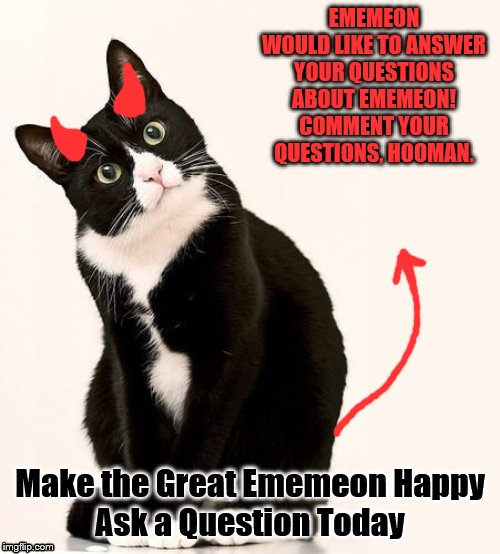 Tuxedo Cat | EMEMEON WOULD LIKE TO ANSWER YOUR QUESTIONS ABOUT EMEMEON! COMMENT YOUR QUESTIONS, HOOMAN. Make the Great Ememeon Happy
Ask a Question Today | image tagged in tuxedo cat | made w/ Imgflip meme maker