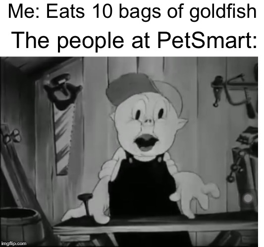 Surprised Porky | Me: Eats 10 bags of goldfish; The people at PetSmart: | image tagged in surprised porky | made w/ Imgflip meme maker