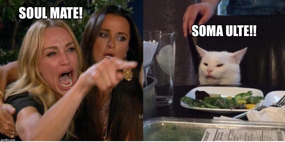 salad cat | SOMA ULTE!! SOUL MATE! | image tagged in salad cat | made w/ Imgflip meme maker