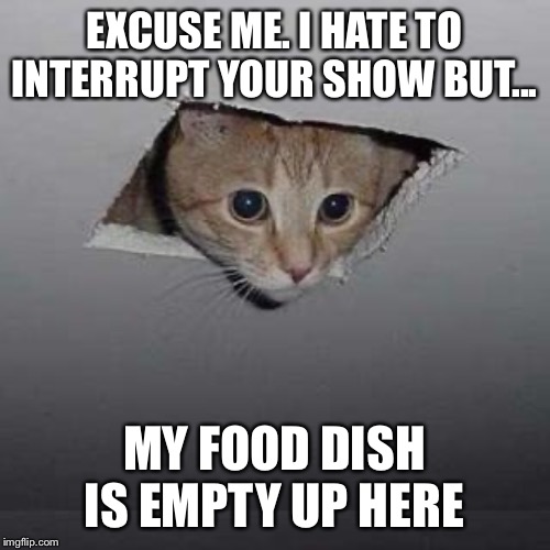 Ceiling Cat Meme | EXCUSE ME. I HATE TO INTERRUPT YOUR SHOW BUT... MY FOOD DISH IS EMPTY UP HERE | image tagged in memes,ceiling cat | made w/ Imgflip meme maker