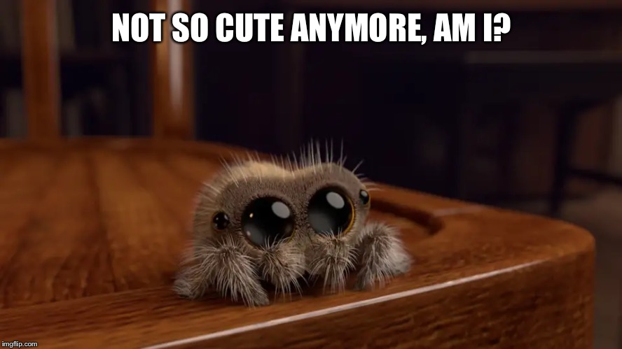 Lucas the Spider | NOT SO CUTE ANYMORE, AM I? | image tagged in lucas the spider | made w/ Imgflip meme maker