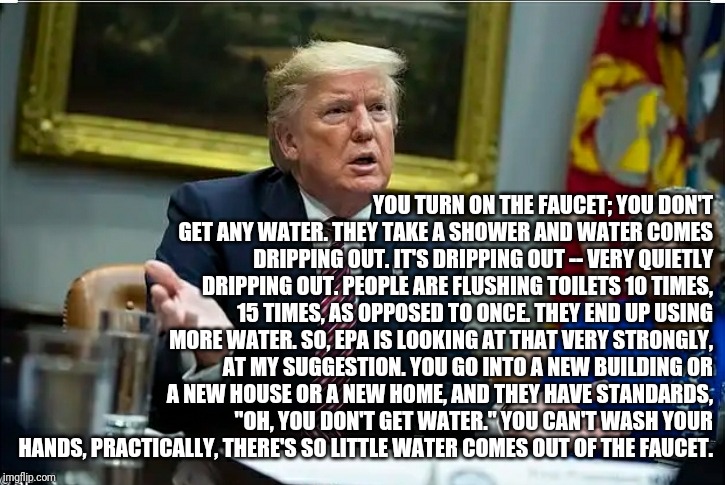YOU TURN ON THE FAUCET; YOU DON'T GET ANY WATER. THEY TAKE A SHOWER AND WATER COMES DRIPPING OUT. IT'S DRIPPING OUT -- VERY QUIETLY DRIPPING OUT. PEOPLE ARE FLUSHING TOILETS 10 TIMES, 15 TIMES, AS OPPOSED TO ONCE. THEY END UP USING MORE WATER. SO, EPA IS LOOKING AT THAT VERY STRONGLY, AT MY SUGGESTION. YOU GO INTO A NEW BUILDING OR A NEW HOUSE OR A NEW HOME, AND THEY HAVE STANDARDS, "OH, YOU DON'T GET WATER." YOU CAN'T WASH YOUR HANDS, PRACTICALLY, THERE'S SO LITTLE WATER COMES OUT OF THE FAUCET. | image tagged in trump,water,toilet,flushing,insane,water conservation | made w/ Imgflip meme maker