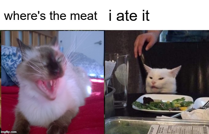 Woman Yelling At Cat Meme | where's the meat; i ate it | image tagged in memes,woman yelling at cat | made w/ Imgflip meme maker