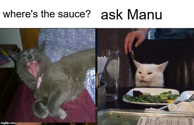 Woman Yelling At Cat | where's the sauce? ask Manu | image tagged in memes,woman yelling at cat | made w/ Imgflip meme maker