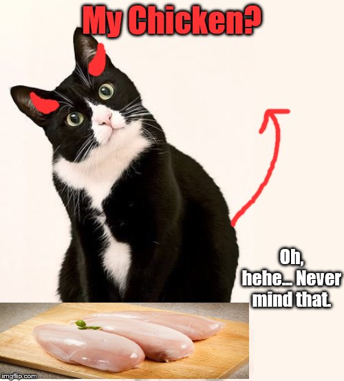 Tuxedo Cat | My Chicken? Oh, hehe... Never mind that. | image tagged in tuxedo cat | made w/ Imgflip meme maker