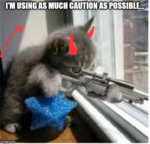 cats with guns | I'M USING AS MUCH CAUTION AS POSSIBLE... | image tagged in cats with guns | made w/ Imgflip meme maker