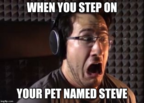 Markiplier  | WHEN YOU STEP ON; YOUR PET NAMED STEVE | image tagged in markiplier | made w/ Imgflip meme maker