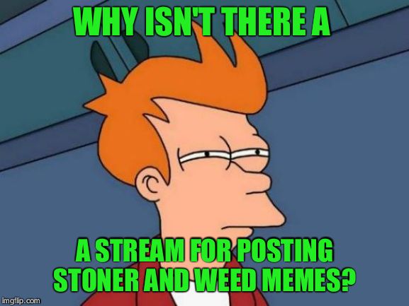 Futurama Fry Meme | WHY ISN'T THERE A; A STREAM FOR POSTING STONER AND WEED MEMES? | image tagged in memes,futurama fry | made w/ Imgflip meme maker