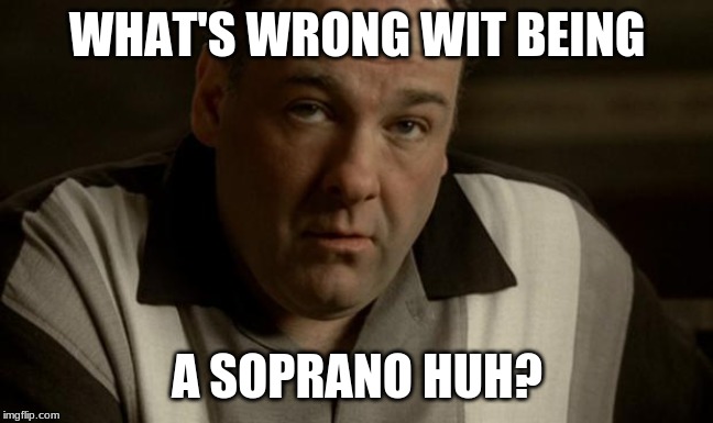 Tony Soprano Oh | WHAT'S WRONG WIT BEING A SOPRANO HUH? | image tagged in tony soprano oh | made w/ Imgflip meme maker