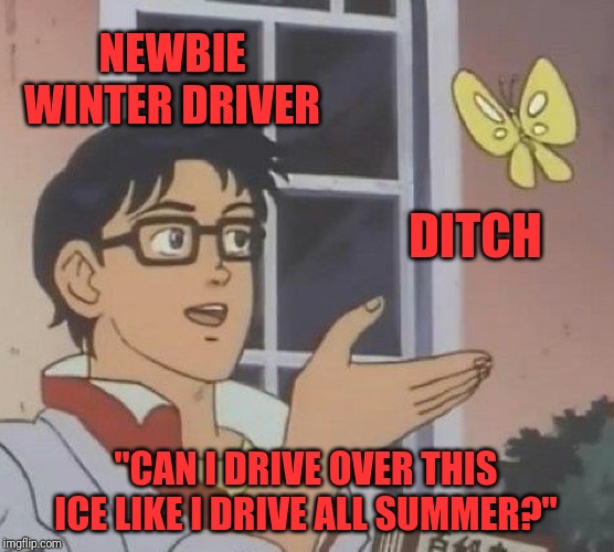 Is This A Pigeon Meme | NEWBIE WINTER DRIVER; DITCH; "CAN I DRIVE OVER THIS ICE LIKE I DRIVE ALL SUMMER?" | image tagged in memes,is this a pigeon | made w/ Imgflip meme maker