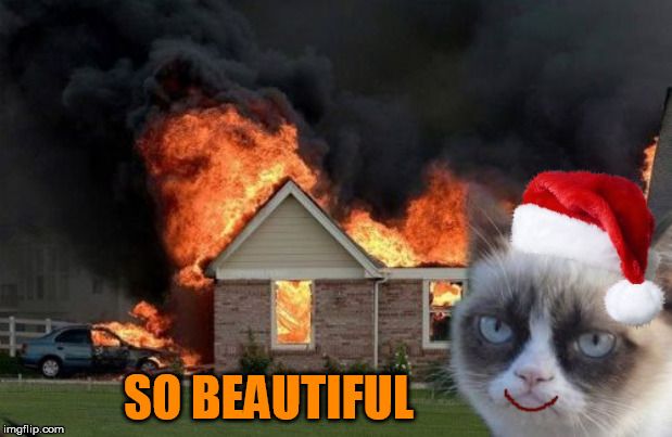 Burn Kitty Meme | SO BEAUTIFUL | image tagged in memes,burn kitty,grumpy cat | made w/ Imgflip meme maker