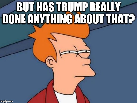 Futurama Fry Meme | BUT HAS TRUMP REALLY DONE ANYTHING ABOUT THAT? | image tagged in memes,futurama fry | made w/ Imgflip meme maker