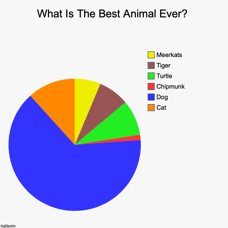 Animals Ranked (In My Opinion) | What Is The Best Animal Ever? | Cat, Dog, Chipmunk, Turtle, Tiger, Meerkats | image tagged in charts,pie charts | made w/ Imgflip chart maker