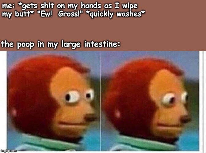 Awkward muppet | me: *gets shit on my hands as I wipe my butt* "Ew!  Gross!" *quickly washes*; the poop in my large intestine: | image tagged in memes,random | made w/ Imgflip meme maker