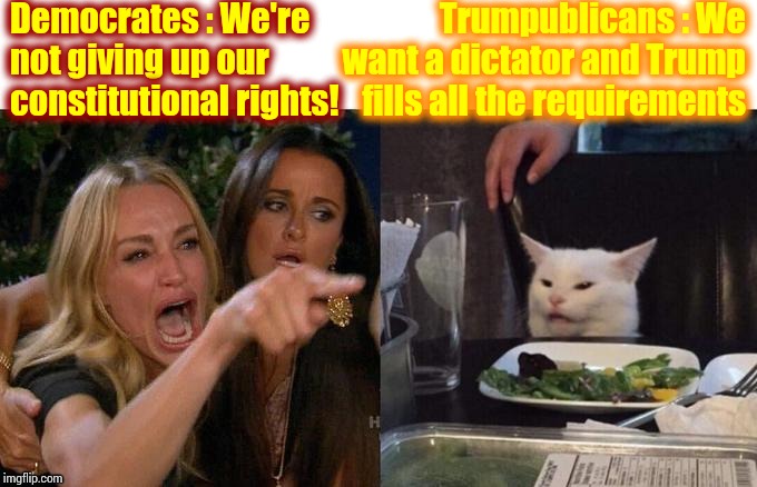 Those That Understand What's Going On And Those That Trust They're Not Being Lied To By A Narcissistic Pathological Liar | Democrates : We're not giving up our constitutional rights! Trumpublicans : We want a dictator and Trump fills all the requirements | image tagged in memes,woman yelling at cat,trump unfit unqualified dangerous,liar in chief,pathological liar in chief,impeach trump | made w/ Imgflip meme maker