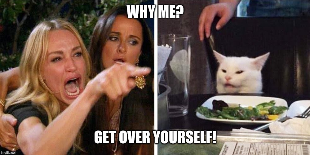Smudge the cat | WHY ME? GET OVER YOURSELF! | image tagged in smudge the cat | made w/ Imgflip meme maker
