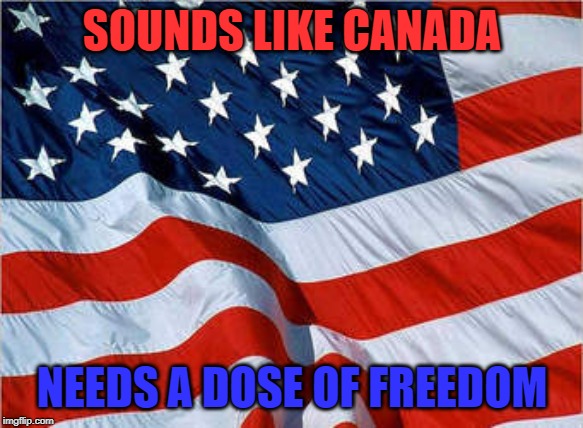 USA Flag | SOUNDS LIKE CANADA NEEDS A DOSE OF FREEDOM | image tagged in usa flag | made w/ Imgflip meme maker