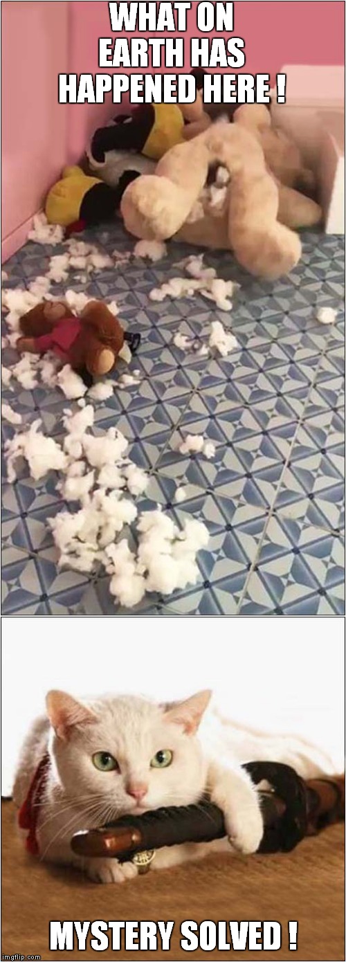 Sword Vs Cuddly Toys | WHAT ON EARTH HAS HAPPENED HERE ! MYSTERY SOLVED ! | image tagged in fun,cats,sword | made w/ Imgflip meme maker