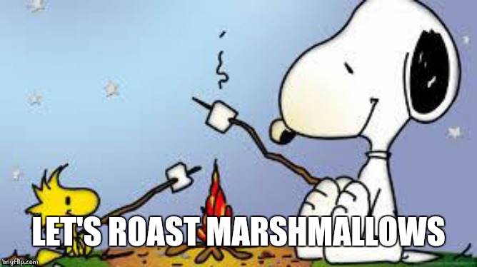 Roasting Marshmallows | LET'S ROAST MARSHMALLOWS | image tagged in roasting marshmallows | made w/ Imgflip meme maker