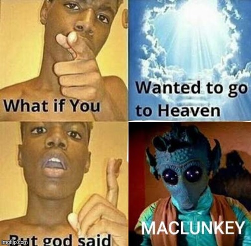 What if you wanted to go to Heaven | image tagged in what if you wanted to go to heaven | made w/ Imgflip meme maker