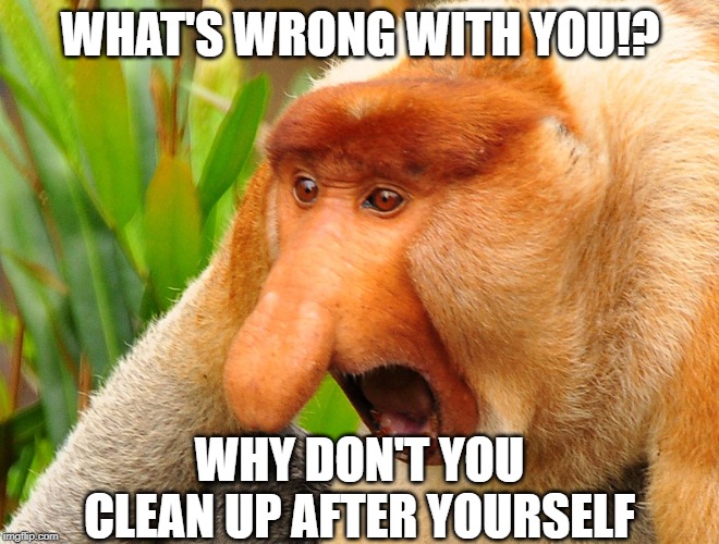 Janusz monkey screaming |  WHAT'S WRONG WITH YOU!? WHY DON'T YOU CLEAN UP AFTER YOURSELF | image tagged in janusz monkey screaming | made w/ Imgflip meme maker