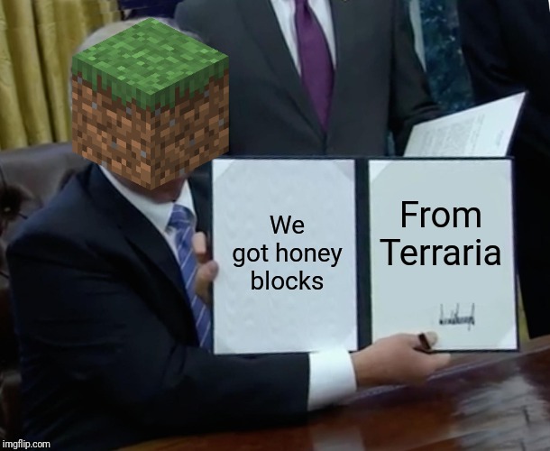Trump Bill Signing Meme | From Terraria; We got honey blocks | image tagged in memes,trump bill signing | made w/ Imgflip meme maker
