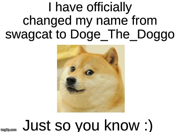 Blank White Template | I have officially changed my name from swagcat to Doge_The_Doggo; Just so you know :) | image tagged in blank white template | made w/ Imgflip meme maker