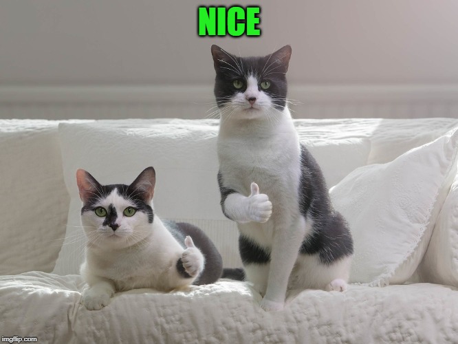 NICE | made w/ Imgflip meme maker