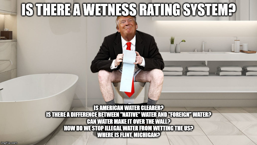 Trump Toilet | IS THERE A WETNESS RATING SYSTEM? IS AMERICAN WATER CLEARER?
IS THERE A DIFFERENCE BETWEEN "NATIVE" WATER AND "FOREIGN" WATER?
CAN WATER MAKE IT OVER THE WALL?
HOW DO WE STOP ILLEGAL WATER FROM WETTING THE US?
WHERE IS FLINT, MICHIGAN? | image tagged in trump toilet | made w/ Imgflip meme maker