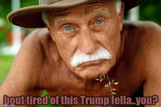 way past that | bout tired of this Trump fella..you? | image tagged in fk yeah and fk trump | made w/ Imgflip meme maker