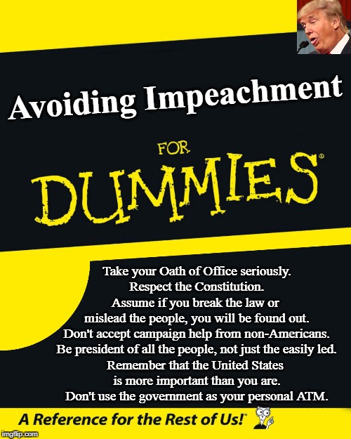 For Dummies, one in particular | Avoiding Impeachment; Take your Oath of Office seriously.
Respect the Constitution.
Assume if you break the law or 
mislead the people, you will be found out.
Don't accept campaign help from non-Americans.
Be president of all the people, not just the easily led.
Remember that the United States 
is more important than you are.
Don't use the government as your personal ATM. | image tagged in for dummies,impeachment,trump,constitution,oath of office,criminal | made w/ Imgflip meme maker