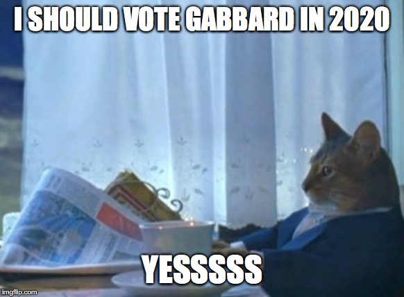 I Should Buy A Boat Cat | I SHOULD VOTE GABBARD IN 2020; YESSSSS | image tagged in memes,i should buy a boat cat | made w/ Imgflip meme maker