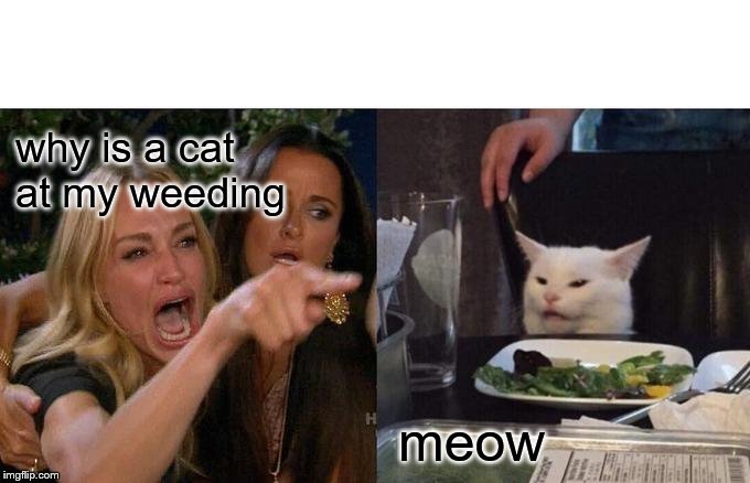 Woman Yelling At Cat Meme | why is a cat
at my weeding; meow | image tagged in memes,woman yelling at cat | made w/ Imgflip meme maker