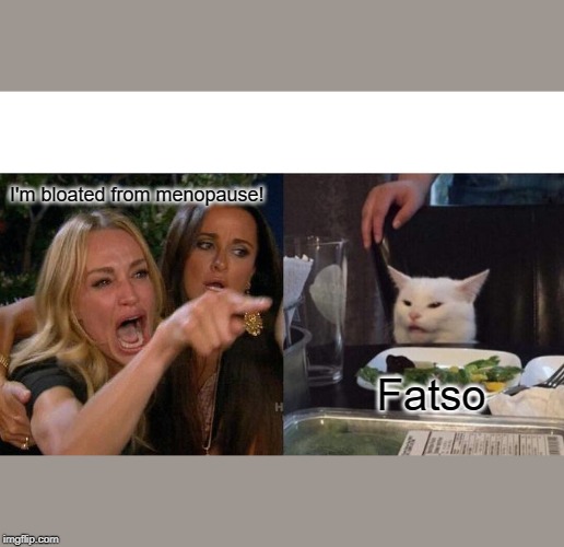 Woman Yelling At Cat | I'm bloated from menopause! Fatso | image tagged in memes,woman yelling at cat | made w/ Imgflip meme maker