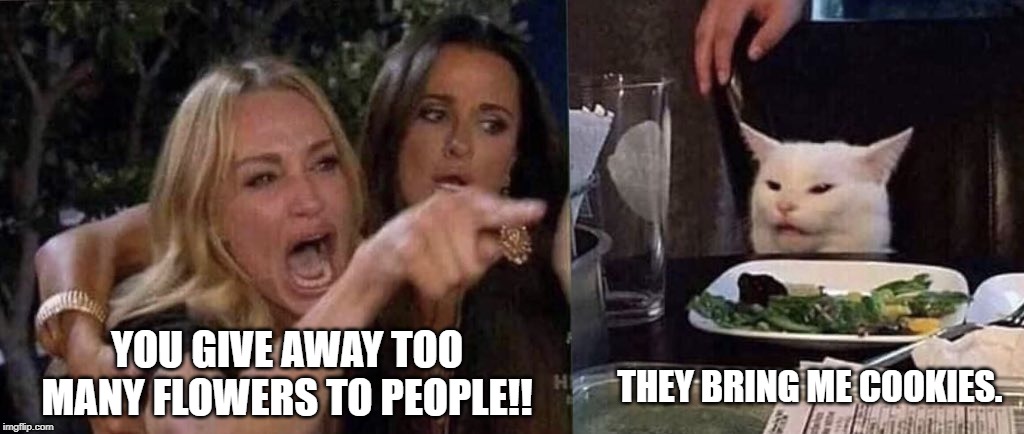 woman yelling at cat | THEY BRING ME COOKIES. YOU GIVE AWAY TOO MANY FLOWERS TO PEOPLE!! | image tagged in woman yelling at cat | made w/ Imgflip meme maker