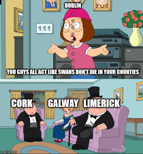 Meg Family Guy Better than me | DUBLIN
.
.
.
.
.
.
.
.
.
YOU GUYS ALL ACT LIKE SWANS DON'T DIE IN YOUR COUNTIES; CORK         GALWAY   LIMERICK | image tagged in meg family guy better than me | made w/ Imgflip meme maker
