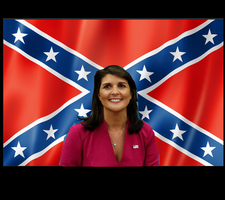 Nikki Haley Confederate Flag Blank Meme Template