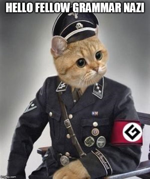 Grammar Nazi Cat | HELLO FELLOW GRAMMAR NAZI | image tagged in grammar nazi cat | made w/ Imgflip meme maker