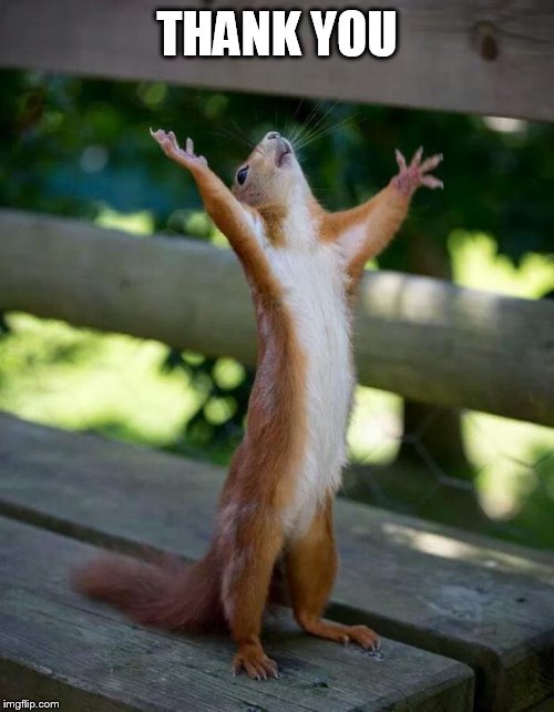Happy Squirrel | THANK YOU | image tagged in happy squirrel | made w/ Imgflip meme maker
