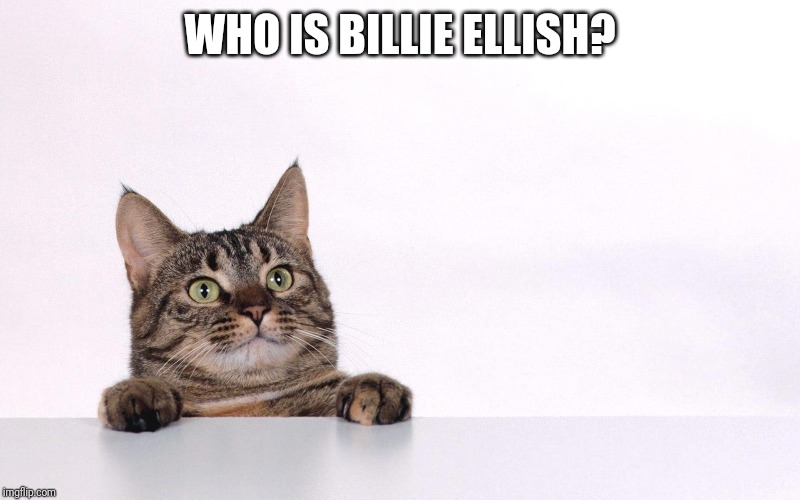 Curious cat | WHO IS BILLIE ELLISH? | image tagged in curious cat | made w/ Imgflip meme maker