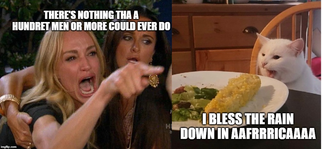 Woman and Cat Yelling At Eachother | THERE'S NOTHING THA A HUNDRET MEN OR MORE COULD EVER DO; I BLESS THE RAIN DOWN IN AAFRRRICAAAA | image tagged in woman and cat yelling at eachother | made w/ Imgflip meme maker