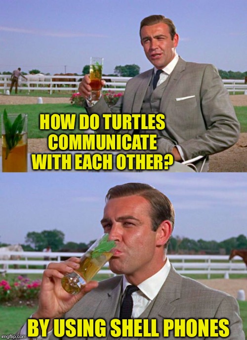 Autocorrect and Puns Week' a Tea_Drinking_Corviknight and TimidDeer event.
She what I did there? | HOW DO TURTLES COMMUNICATE WITH EACH OTHER? BY USING SHELL PHONES | image tagged in sean connery  kermit,auto correct and puns week,timiddeer,teadrinkingcorviknight,turtle say what,cell phones | made w/ Imgflip meme maker