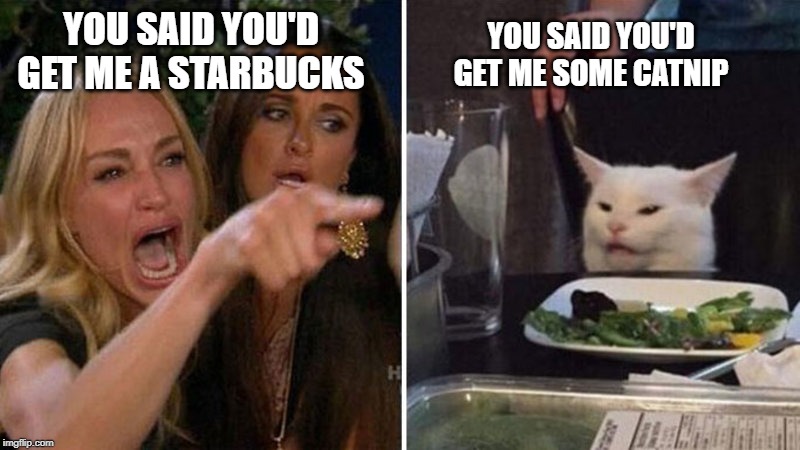 Woman yelling at white cat | YOU SAID YOU'D GET ME A STARBUCKS; YOU SAID YOU'D GET ME SOME CATNIP | image tagged in woman yelling at white cat | made w/ Imgflip meme maker