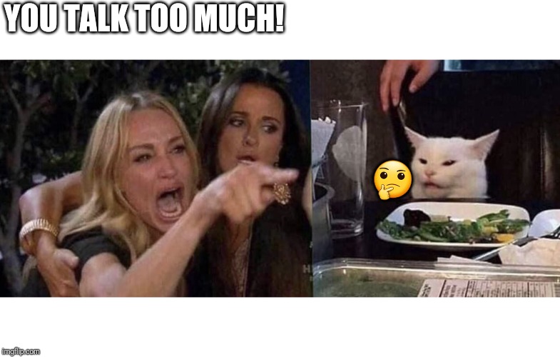 woman yelling at cat | YOU TALK TOO MUCH! 🤔 | image tagged in woman yelling at cat | made w/ Imgflip meme maker