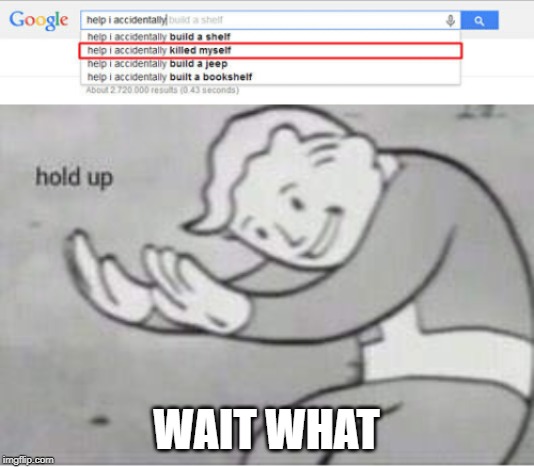 Help I accidentally | WAIT WHAT | image tagged in fallout hold up | made w/ Imgflip meme maker