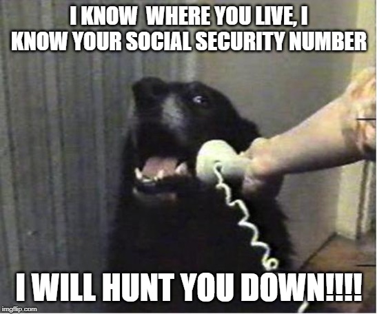Yes this is dog | I KNOW  WHERE YOU LIVE, I KNOW YOUR SOCIAL SECURITY NUMBER; I WILL HUNT YOU DOWN!!!! | image tagged in yes this is dog | made w/ Imgflip meme maker