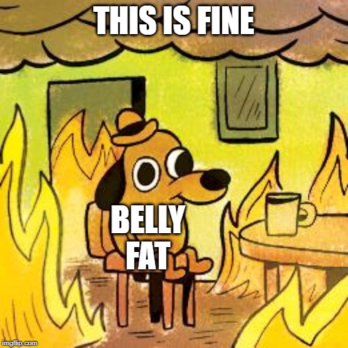 Dog in burning house | THIS IS FINE BELLY FAT | image tagged in dog in burning house | made w/ Imgflip meme maker
