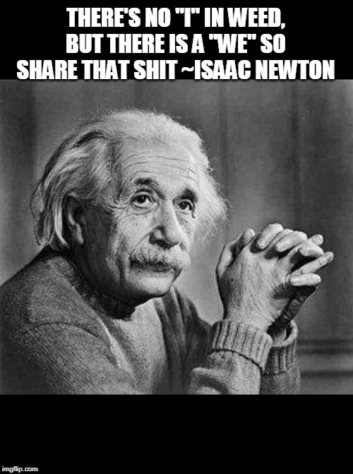 Albert Einstein | THERE'S NO "I" IN WEED, BUT THERE IS A "WE" SO SHARE THAT SHIT ~ISAAC NEWTON | image tagged in albert einstein,funny,fun,science,weed,lmfao | made w/ Imgflip meme maker