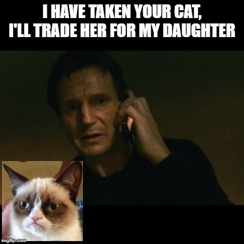 Jokes on him | I HAVE TAKEN YOUR CAT, I'LL TRADE HER FOR MY DAUGHTER | image tagged in memes,liam neeson taken | made w/ Imgflip meme maker
