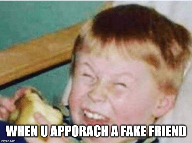 Friends are roasting you | WHEN U APPORACH A FAKE FRIEND | image tagged in friends are roasting you | made w/ Imgflip meme maker